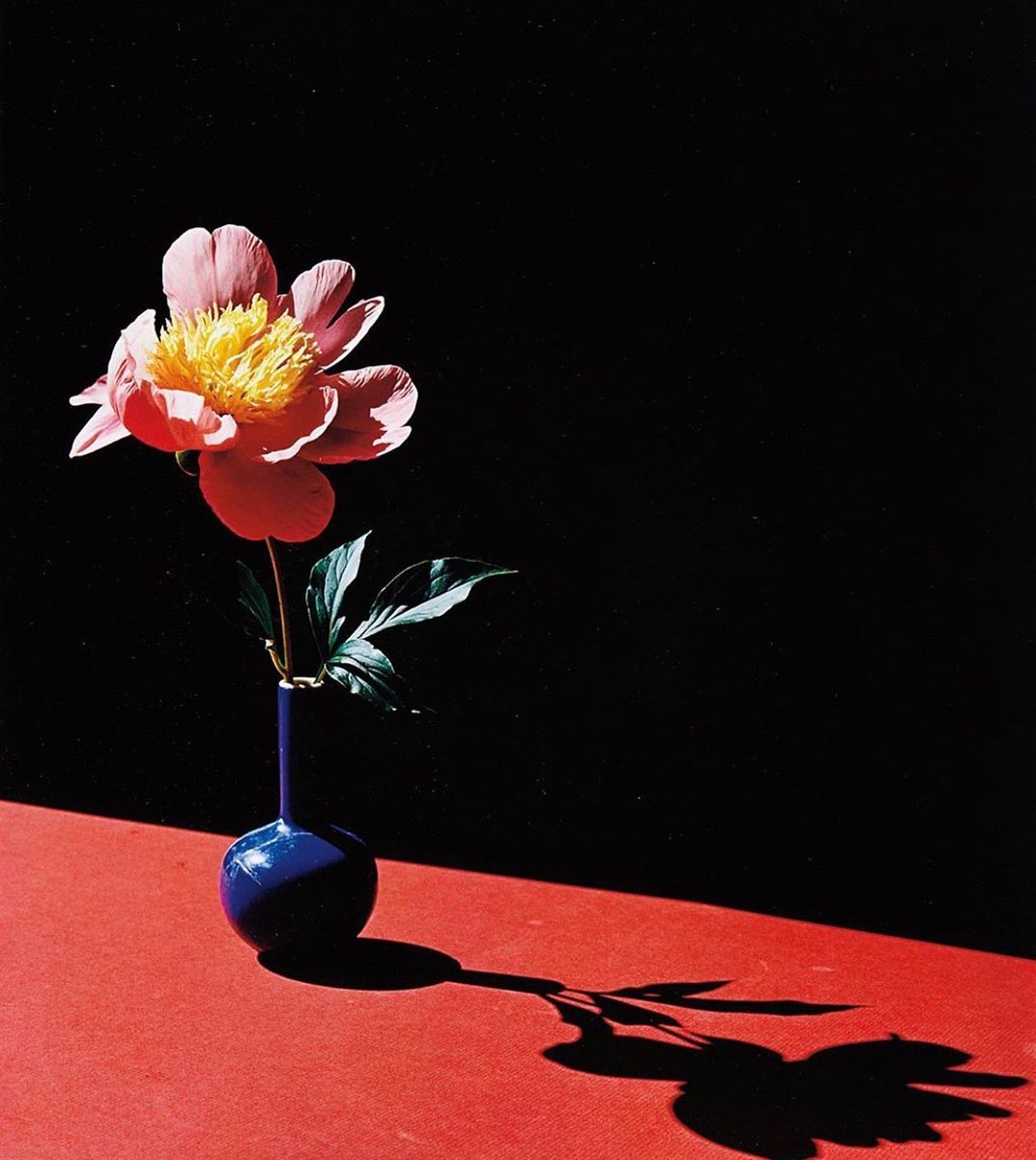 © Horst P. Horst Peony in Blue Vase, 1988
