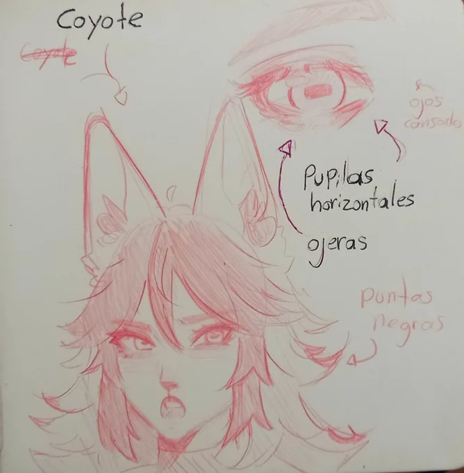 Cositas sobre mi sona más que nada sus ojitos qué son como de cabrita 