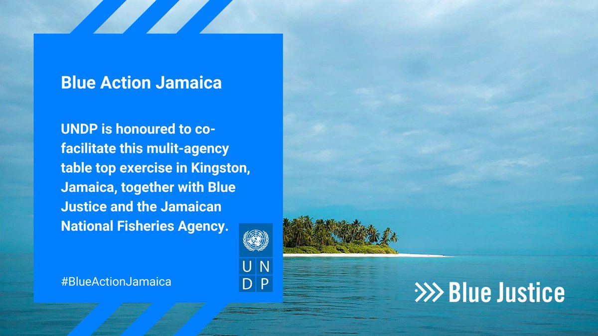 Back in Kingston for #BlueActionJamaica. Working together to address #FisheriesCrime and fostering sustainable oceans. 🌊 @thenfajamaica @_BlueJustice @CaribFisheries @UNDPJamaica #BlueJustice
