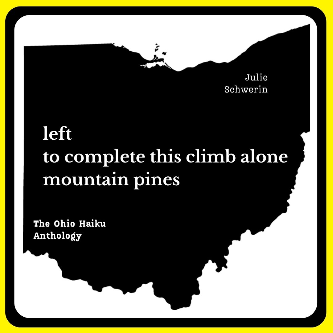 CuttlefishHaiku's tweet photo. We hope you enjoy this Ohio #haiku by Julie Schwerin, formerly of #DoverOhio, from our flagship #anthology. 

Come swim in our waters. 

Order link in bio. https://t.co/YpR65b4Ptm