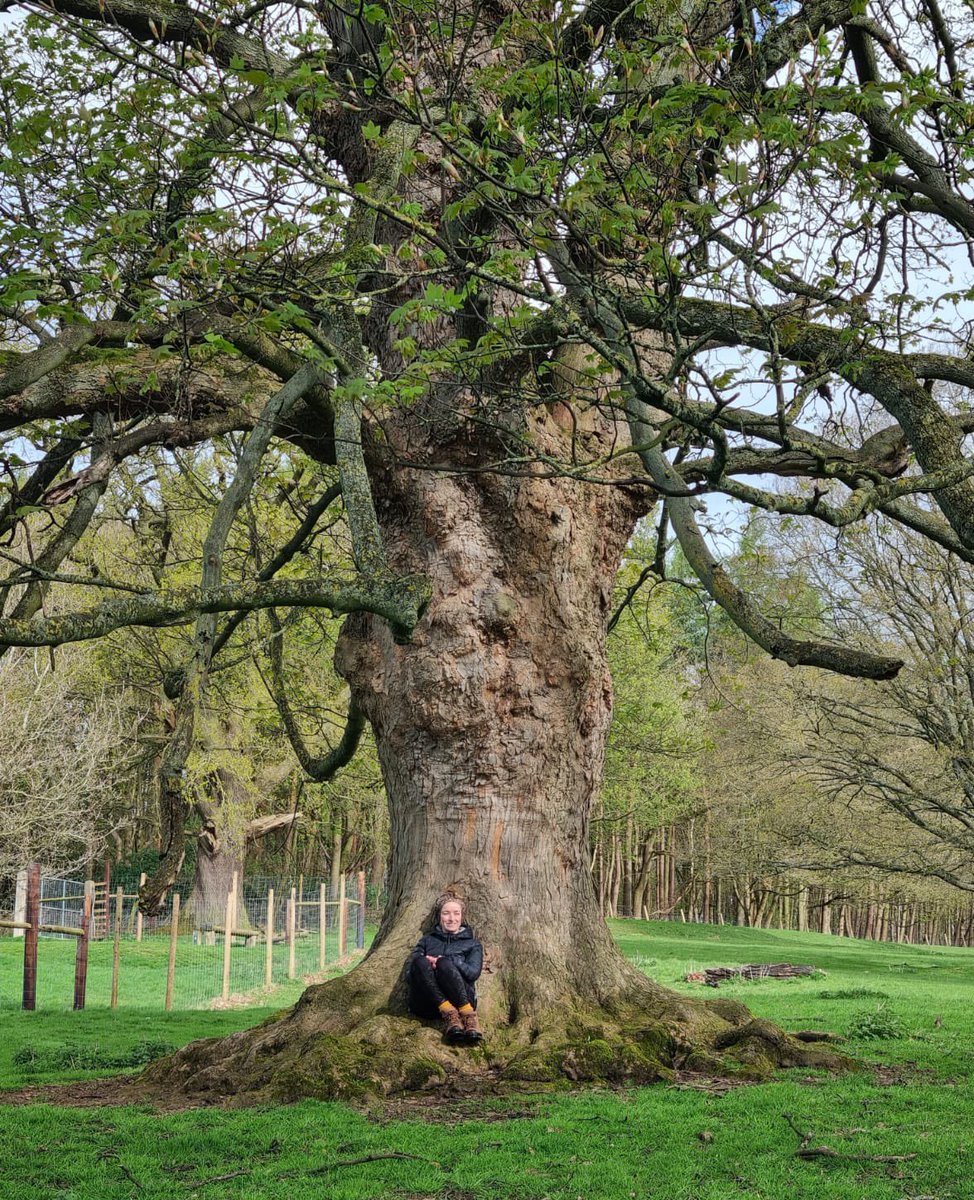 Happy #thicktrunktuesday tree people 💚 just me and a tree as usual!!! #derbyshire #trees #nature @keeper_of_books