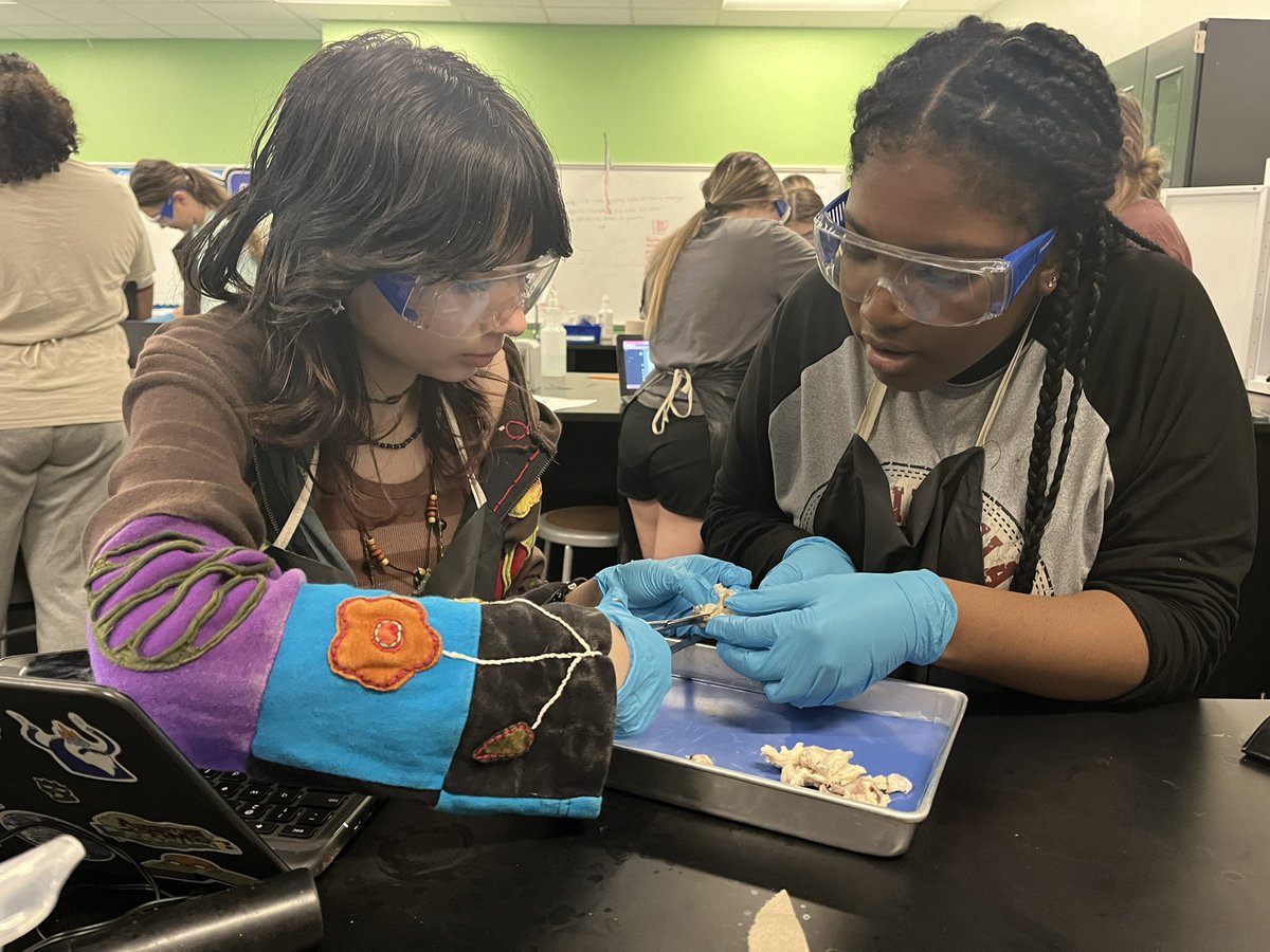 Megan McReynolds tweet media