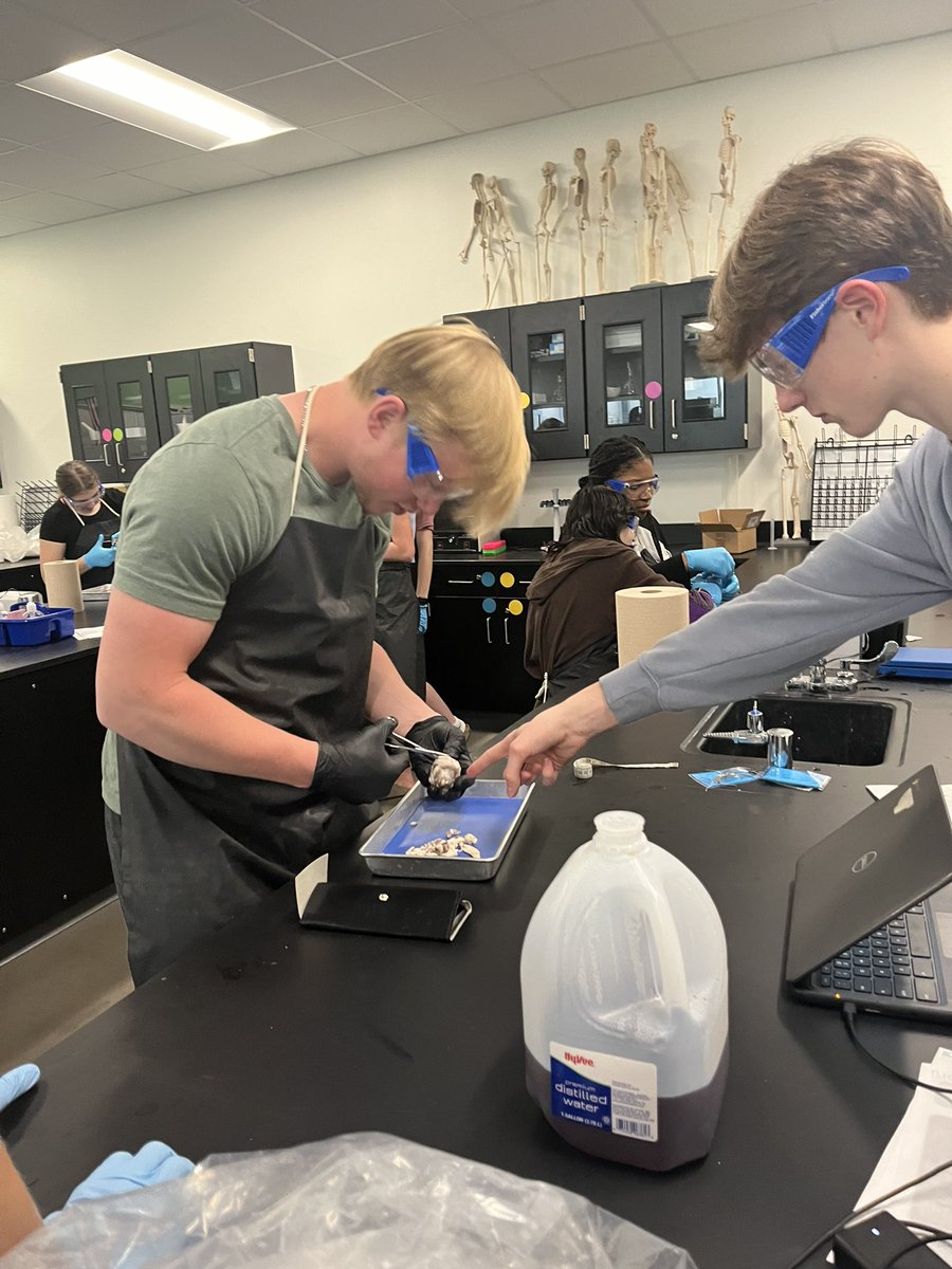 Megan McReynolds tweet media