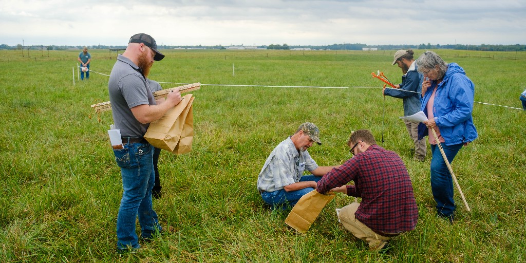 UKAgriculture's tweet photo. The 2024 Spring Kentucky Beginning Grazing School promises an immersive learning for all livestock producers in implementing a successful grazing management plan! Join us in Princeton, Kentucky on April 30 and May 1! >> https://t.co/9dTjO2whyw @UKExtension https://t.co/SxUI5Cw4ud