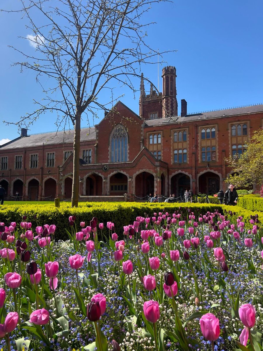 📸 Zainab Abuaisha Thanks to Zainab for sharing this stunning photograph of the beautiful tulips in full bloom on campus. #LoveQUB🌷