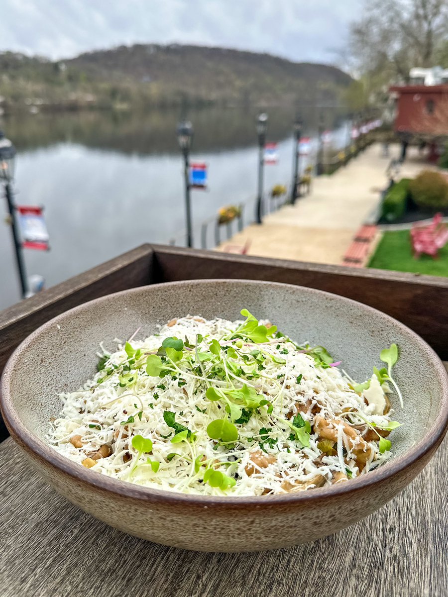 Hey all you fungis, today is the #DayOfTheMushroom 🙌 Our Whole Grain Casarecce Pasta is made with foraged #WildMushroom ragout, wild mushroom broth, caramelized cabbage, asparagus, and ricotta salata 🍝 You can spore this dish during lunch or dinner 🍄 #StellaNewHope #Fungi