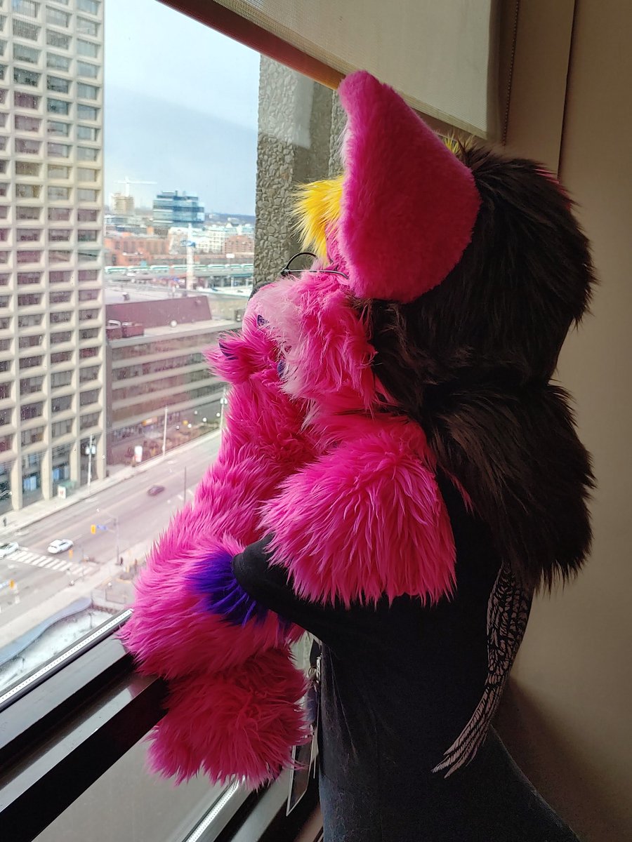 A very Happy Birthday to the hot pink beat of Toronto and my very good friend @Babsiwuff I hope today is good to you my friend!