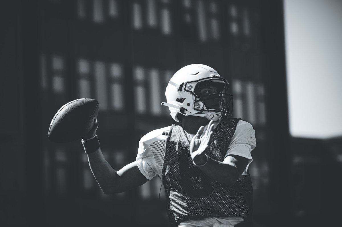 Will Todd (wills.vision) tweet media