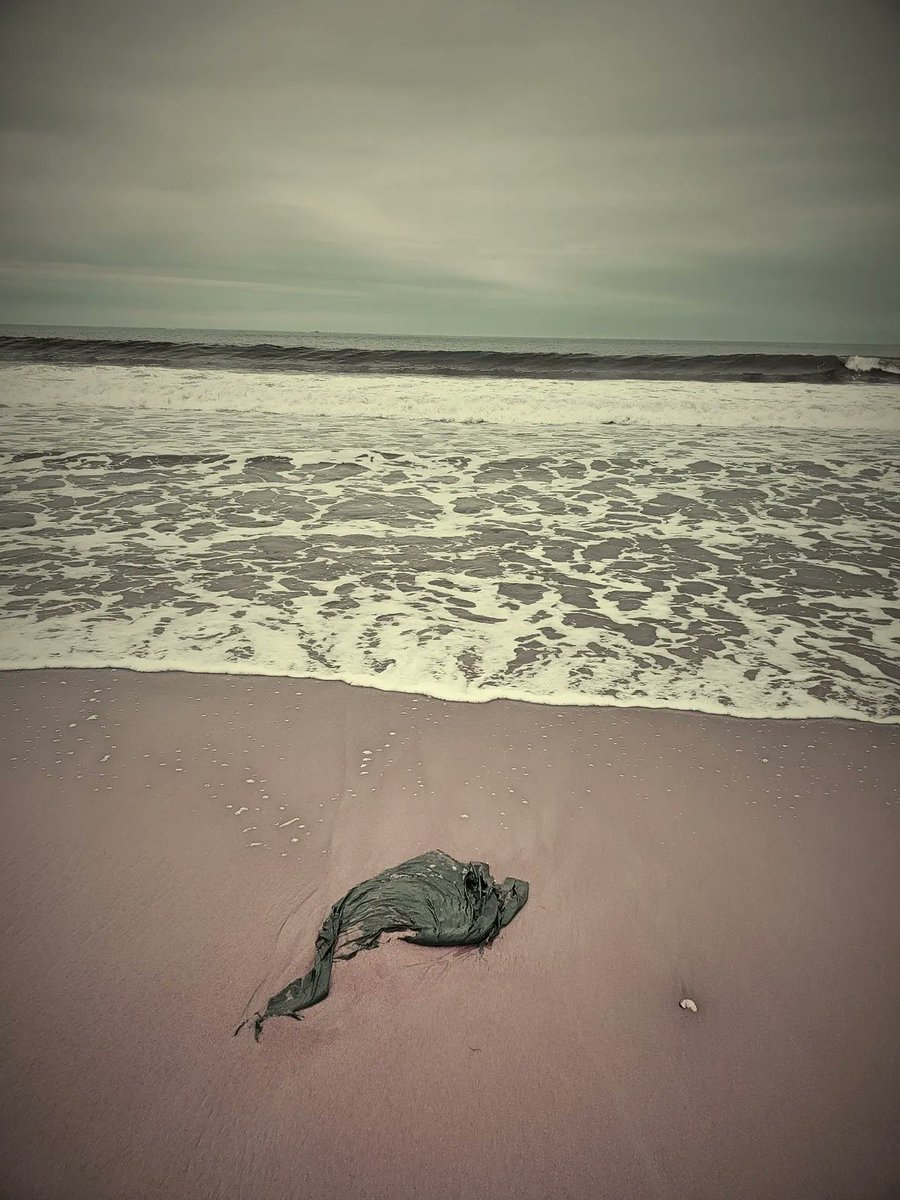 devillinestone.com/stranded Abandoned in the wasteland,your once precious prize Forgotten in the dirt to be ravaged by the tide As the sunlight sinks down,my skin is stretched and plied Will you miss me when the wind whips at your naked hide? #poetry #WritingCommunity #photographer
