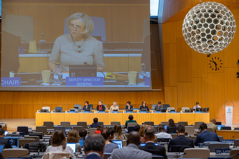 En representación de Paraguay, el director General de Derecho de Autor y Derechos Conexos de la DINAPI, Gonzalo Gómez Forzley, se encuentra participando de la cuadragésima quinta sesión del Comité Permanente de Derecho de Autor y Derechos Conexos #SCCR45 de la <a href="/WIPO/">World Intellectual Property Organization (WIPO)</a>.