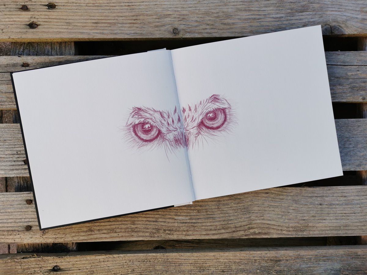 See the Wild

Eagle Owl with Polychromos in Red-Violet 194

#eagleowl #drawings #sketchbook #birds #eyes #coloredpencil  #art #artwork