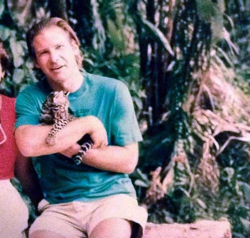 best of harrison ford tweet media