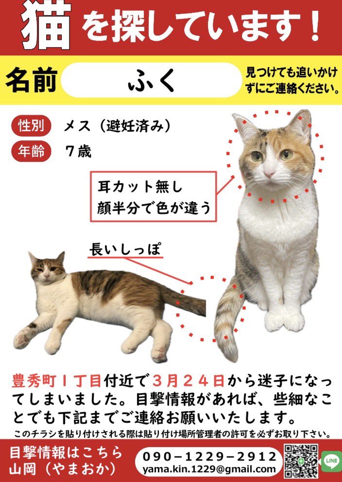 ペット探偵さんがポスティング用に作ってくれたチラシです✨
さすが、わかりやすい(^^)

#迷い猫　#大阪府守口市