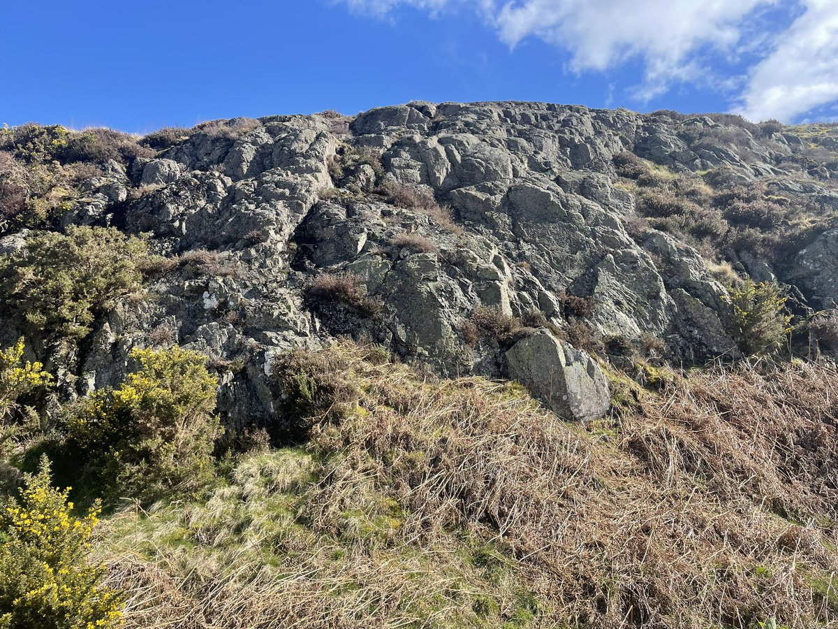 DHS P A A tweet media