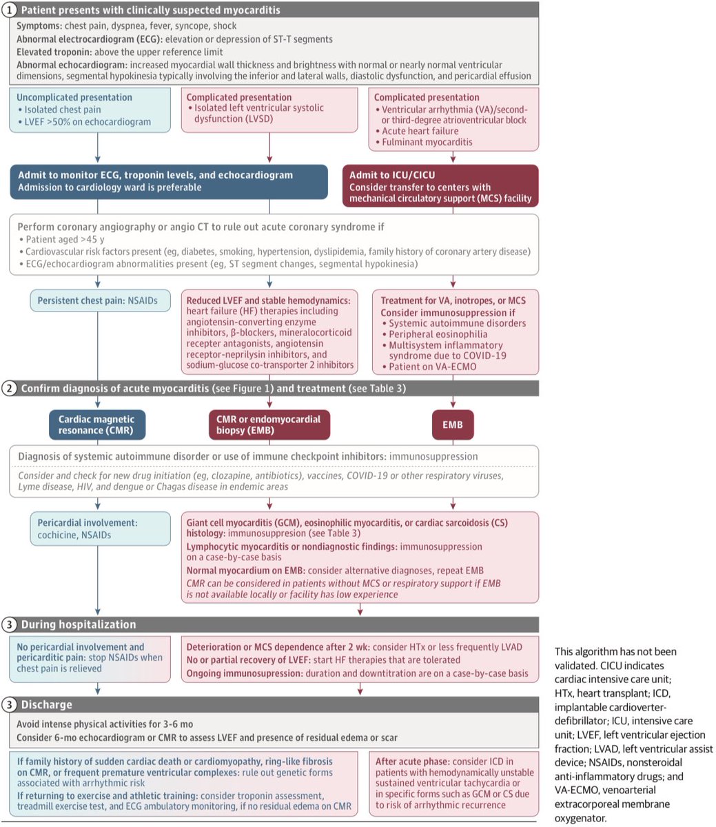 Algoritmo para el tratamiento de pacientes adultos con miocarditis aguda estratificado por fenotipo complicado o no complicado en el momento de la presentación: JAMA 2023;329(13):1098-1113.