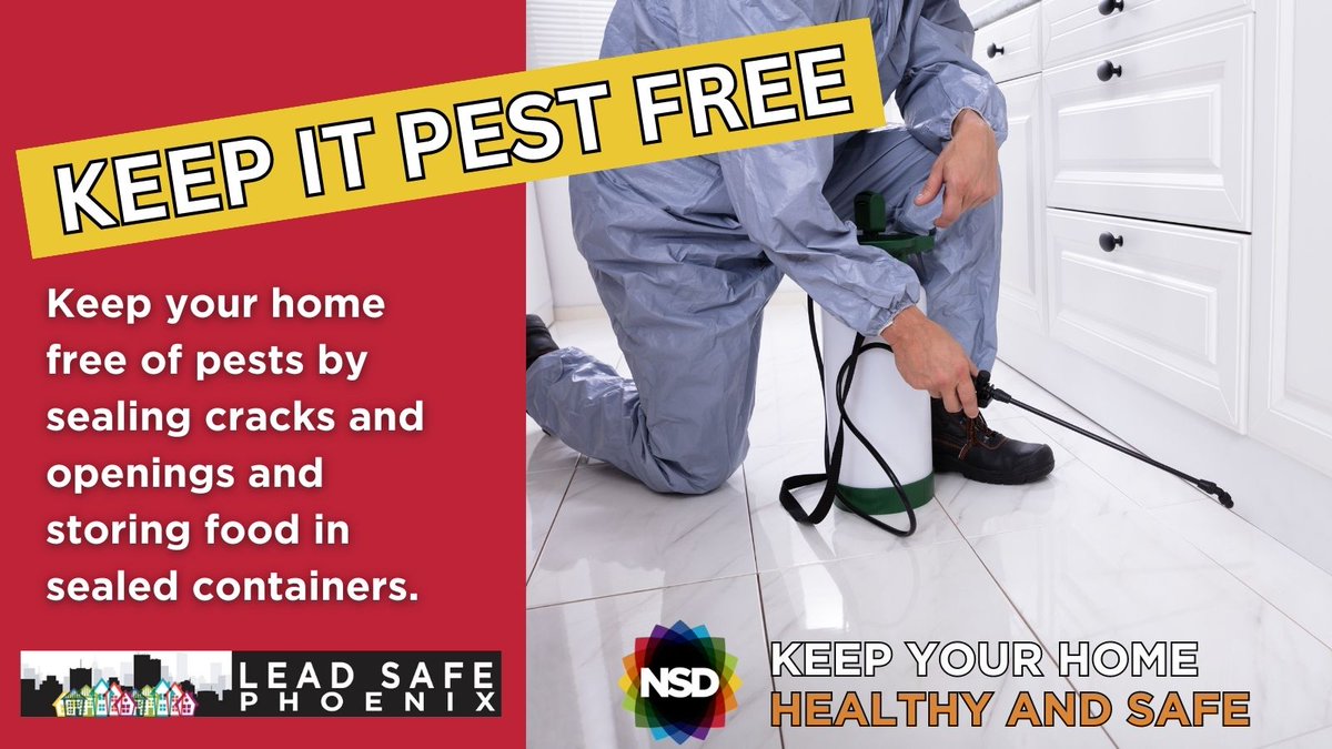 KEEP IT PEST FREE! Goodbye creepy crawlies, hello #HealthyHome! 🚫🐜🕷️ Pests can contaminate your food and pose health risks to you & your family. Seal cracks & openings & keep food stored in airtight containers.

Learn how #LeadSafePhoenix can help: bit.ly/3rRNvKq