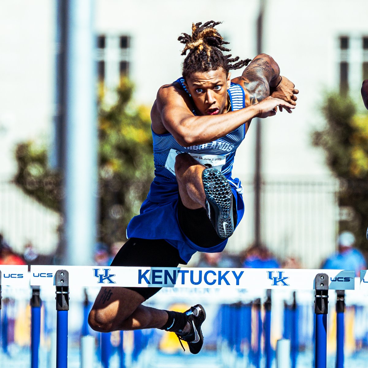 Will Todd (wills.vision) tweet media