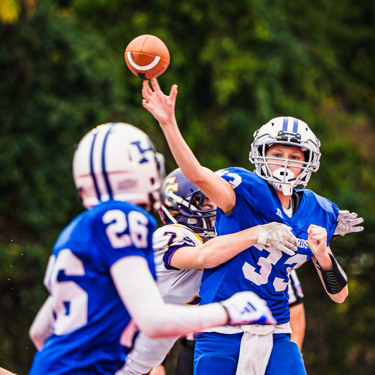 Will Todd (wills.vision) tweet media