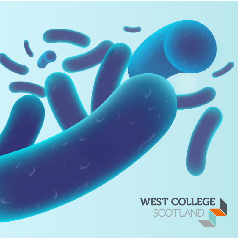 Science teachers and technicians! Expand your skills with our 3-day @SSERC accredited course providing the qualifications you need to deliver or support delivery of microbiology in Scottish schools and colleges. 🎓 Enhance your employability at West: westcollegescotland.ac.uk/business/profe…