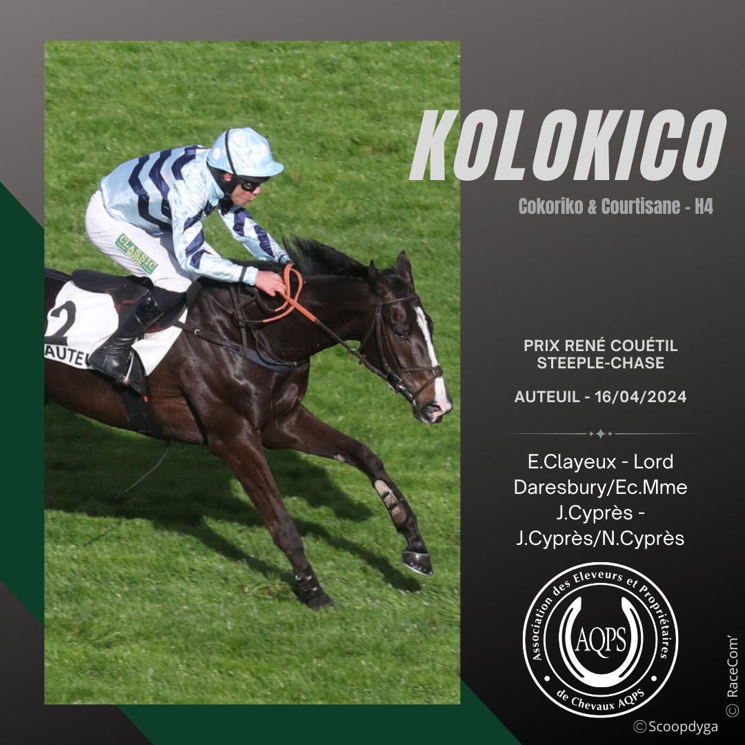 TheFrenchChaser's tweet photo. 🚀2 sorties en steeple, 2 victoires pour le régulier KOLOKICO (Cokoriko @HarasDeCercy ) !
#bredtojump https://t.co/XzjHugojnF