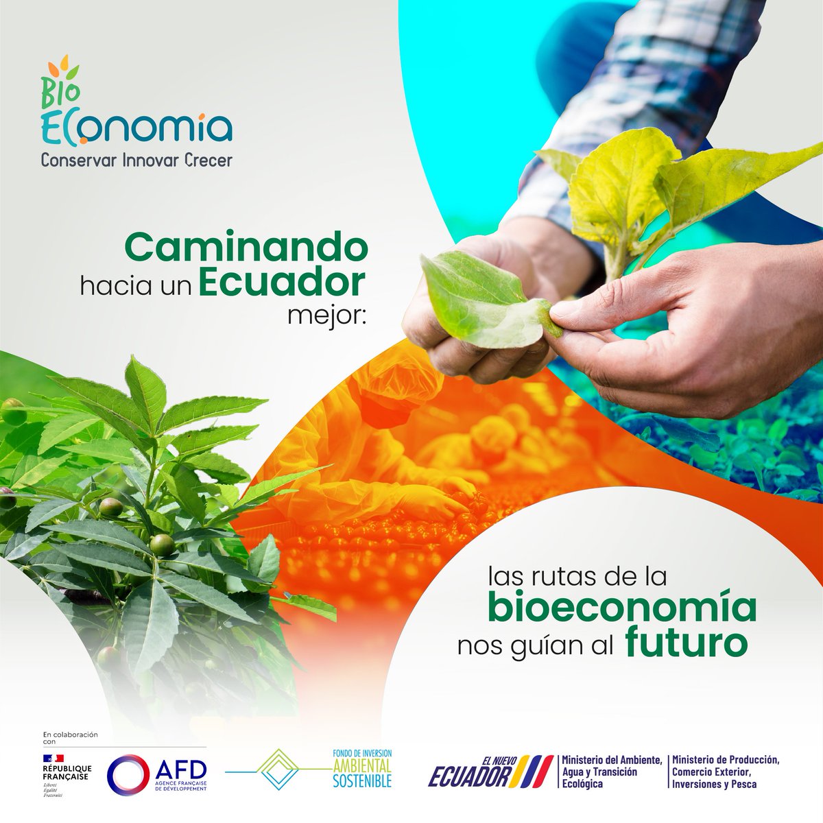 🌿 Con la bioeconomía, cada acción cuenta: cada producto sostenible, cada empleo creado, cada ecosistema conservado.🍃 #Bioeconomía #EcuadorSostenible #medioambiente #economiacircular #sostenible #energiarenovable