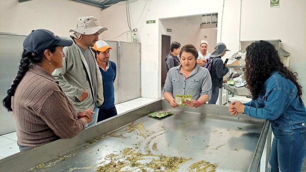 Agricultura_CZ6's tweet photo. #Azuay| Realizamos recorrido en la planta de horchatas Guarainag del cantón Paute, para establecer estrategias de vinculación directa a supermercados y comercialización mayorista, lo que permitirá incrementar la producción y mejorar los ingresos de los socios. 

#ElNuevoEcuador🇪🇨 https://t.co/nxvumu3LGf