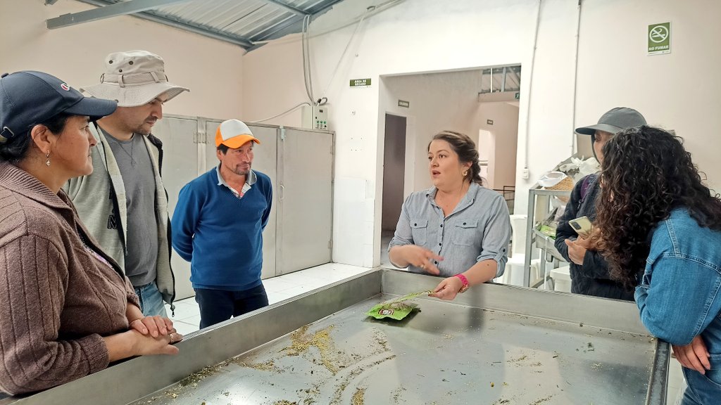 Agricultura_CZ6's tweet photo. #Azuay| Realizamos recorrido en la planta de horchatas Guarainag del cantón Paute, para establecer estrategias de vinculación directa a supermercados y comercialización mayorista, lo que permitirá incrementar la producción y mejorar los ingresos de los socios. 

#ElNuevoEcuador🇪🇨 https://t.co/nxvumu3LGf