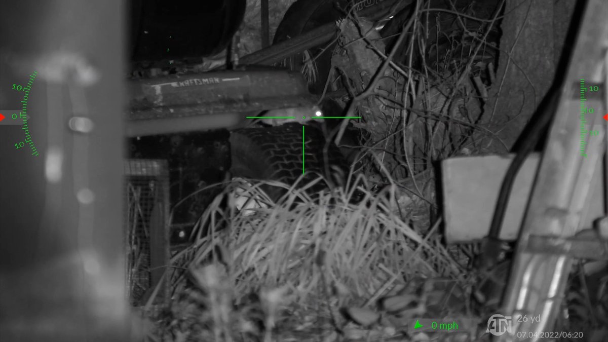 airgunweb's tweet photo. Have you seen Airgun Angie's Niksan ELF/ATN X-Sight 5 Ratting video?
Check it out at THE Gateway To Airguns Youtube Page!
#gatewaytoairguns #gta #atn #atncorp #atnoptics #niksan #donnyfl #thepelletshop #jts #jtsammo #airgunangie #airguns #shootingsport #pesting #rats @ATNCorp https://t.co/r5lFNIzUkZ