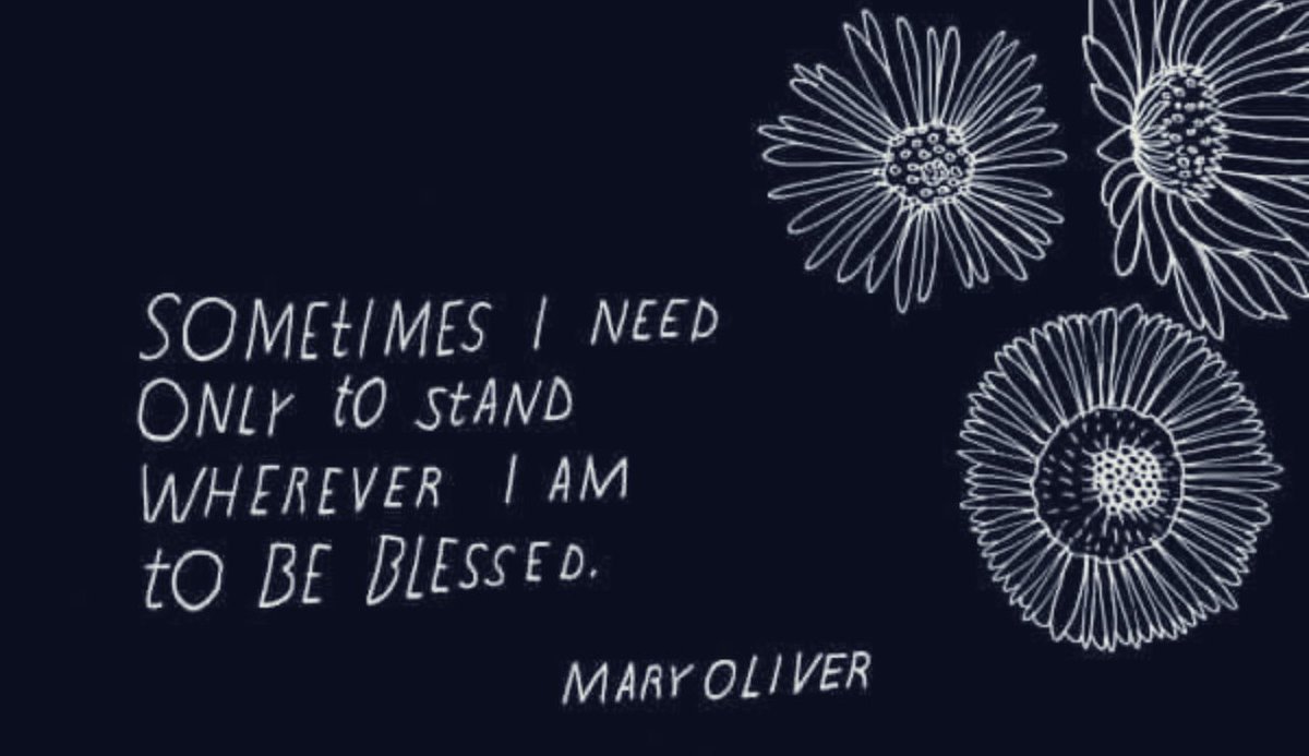 Sometimes I need Only to read The words of Mary Oliver To be blessed. #tuesdayvibe