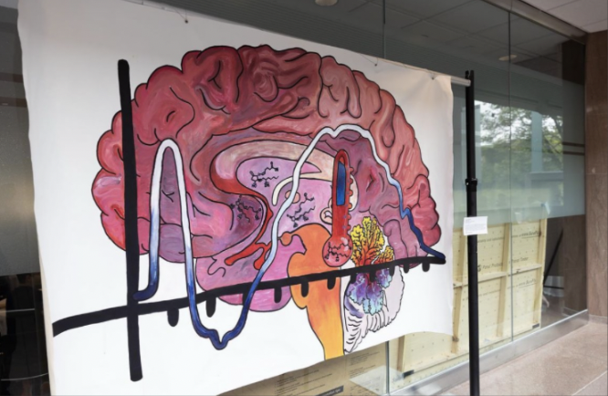 Be on the lookout for our B&B retreat art gallery, also featured in Library North from May 10-June 7th! 'Neural Impressions: Illuminating the Brain's Beauty through Creativity'🎨 #scienceart #brainsandbehavior #neuroscienceresearch #georgiastateuniversity