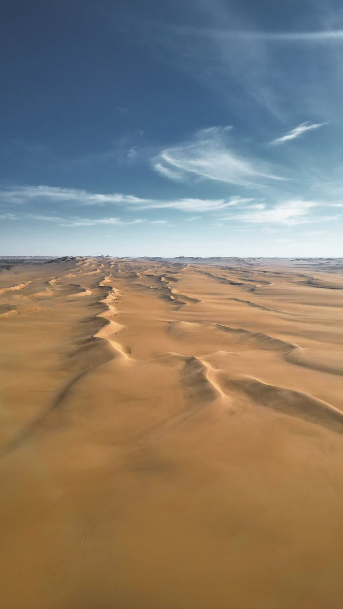 ELIASBCB1's tweet photo. J’étais obligé de prendre le risque de l’avoir pour le Sahara… https://t.co/vEkITI16vs