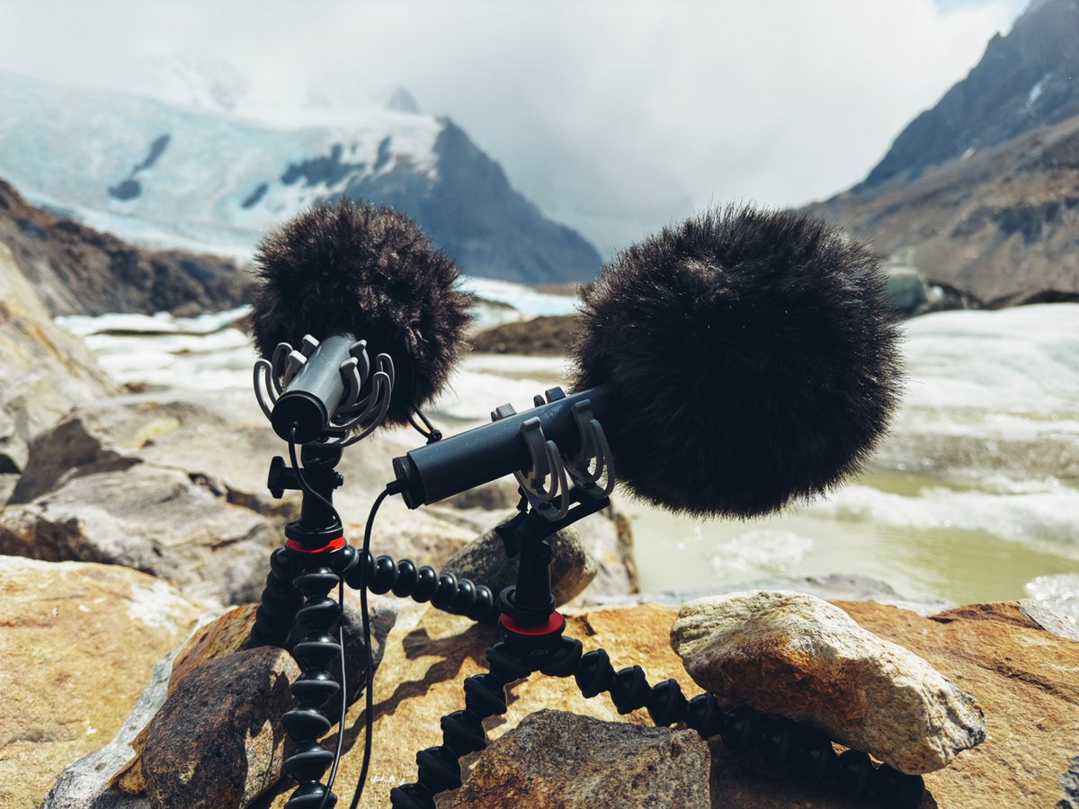 Thomas Rex Beverly tweet media