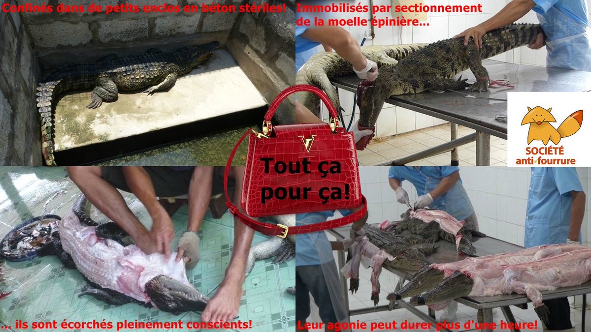 Société Anti-Fourrure: Campagne Mode Sans Animaux : marque de la semaine #furfree #SocieteAntiFourrure #FurFreeFrance
Louis Vuitton (LVMH): fourrure animale : renard, vison. Cuir de bébé : veaux et agneaux, lente agonie  pour de vulgaires sacs à main, vêtements superflus, au nom