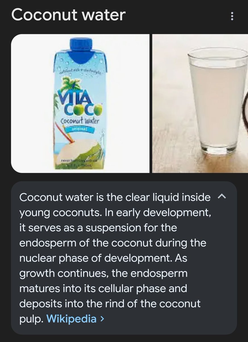 endosperm??? nuclear phase???? what the fuck is going on with coconuts