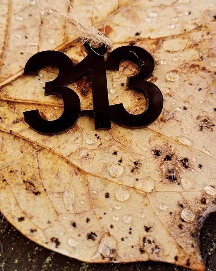HHmdan93649's tweet photo. #اعاده_بناء_قبورهم https://t.co/F4S486a1xD