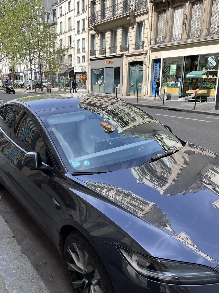 jo_reporter's tweet photo. Un dimanche normal sur Paris…
#paris #joreporter75 #joreporter93 #Joreporting #JO2024 #avantapres https://t.co/MPLP8B7s5m