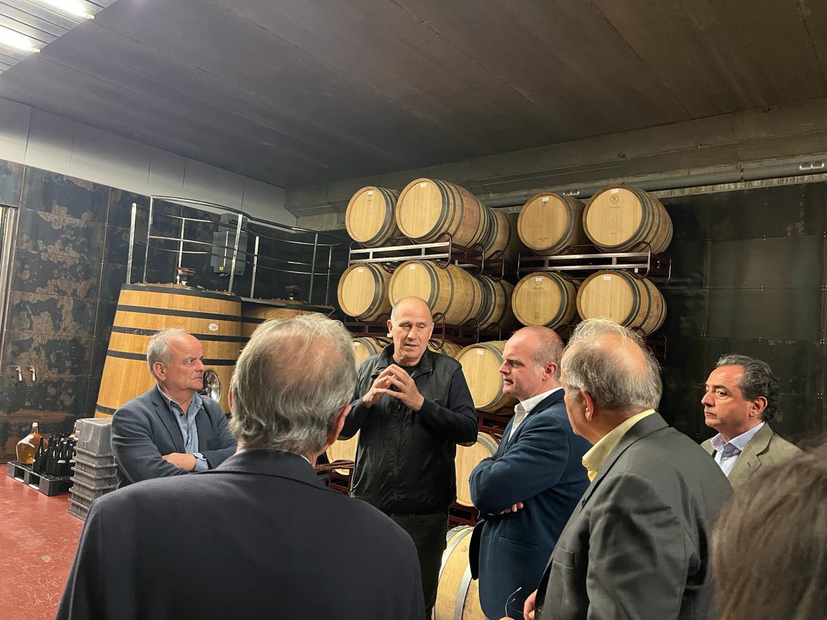 Albert Castellanos tweet media