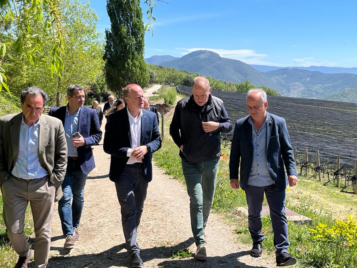 Albert Castellanos tweet media