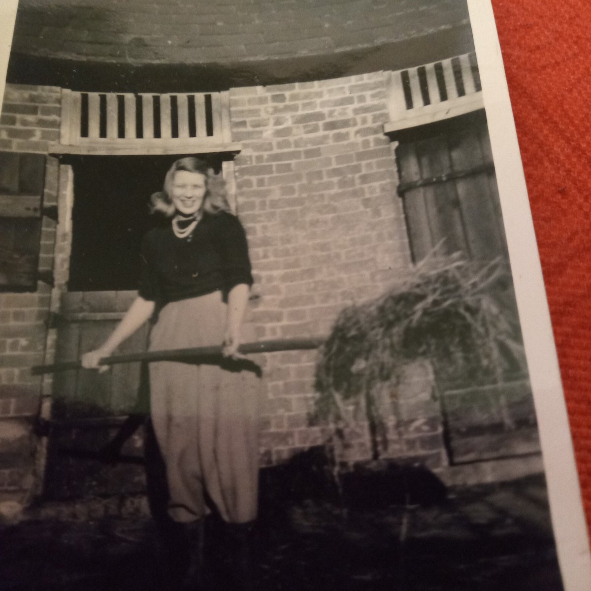 PruMadeley's tweet photo. @herdyshepherd1 This was my mother in about 1948, helping out on a friend's farm. A girl's got to keep her pearls on! https://t.co/kGxk7WD8jJ