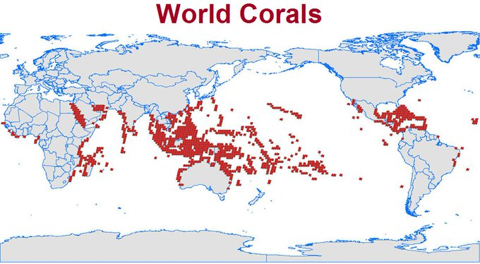 Gli allarmisti sono preoccupati perché i riscaldamento globale danneggi i coralli. Se studiassero, potrebbero verificare che i coralli amano il caldo, non il freddo...