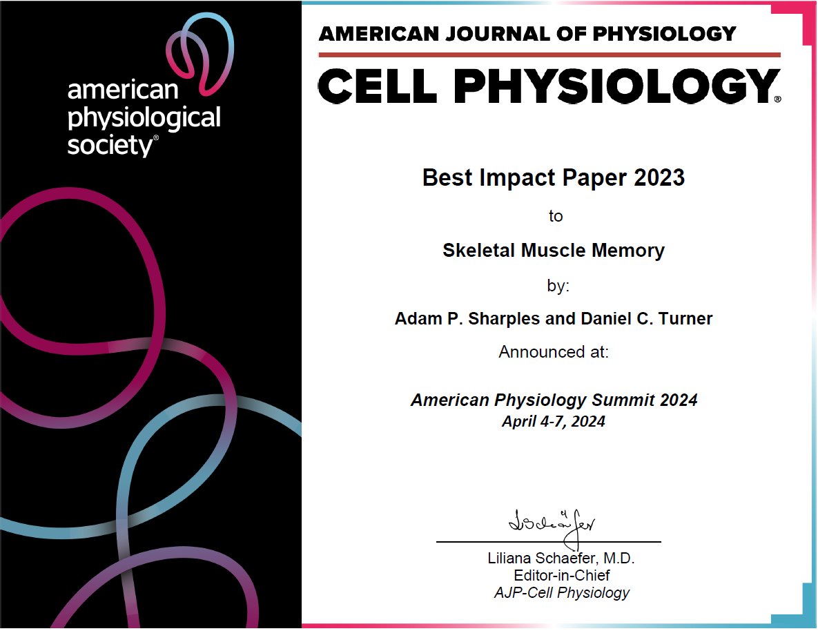 🎉 Congratulations! Thrilled to announce the winner of the #AJPCell 'Best Impact Paper' award by @DrAdamPSharples et al. for the highest altmetric scored article published in the Journal! @dcturner93 #APS2024 #WeArePhysiology