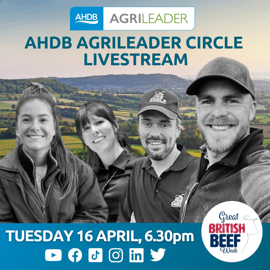 📣Join us TONIGHT from 6:30pm📷 We'll be joined by some familiar faces to chat about 'Championing Great British Beef', through a Ready Steady Cook inspired livestream.📷#GreatBritishBeefWeek24 #GBBW24