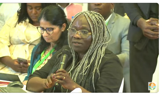 Panel discussion 2 of the #SoilValuesProgram launch is an opportunity to exchange views on the collaborative development model beneficial to the success of the program's missions for 
sustainable impact.
<a href="/IFDCGlobal/">IFDC</a>
#SoilValuesLaunch #SoilHealth #SoilFertility