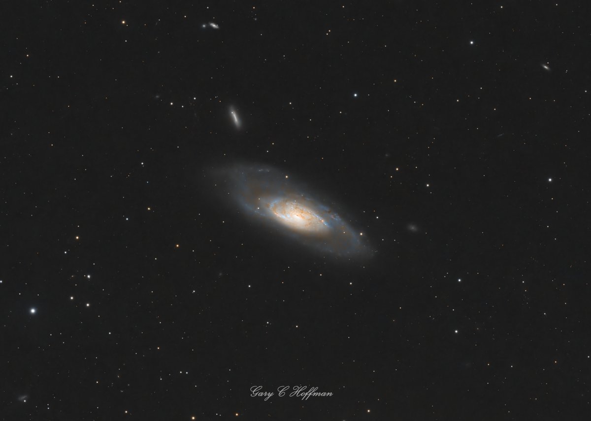 M106 again (again!). Now with ~8 hrs of integration, I managed to bring out some nice colour and better detail. Quite pleased with this considering it's a fairly tight crop 🙂
#Astronomy #Astrophotography #Space #M106 #Galaxy
