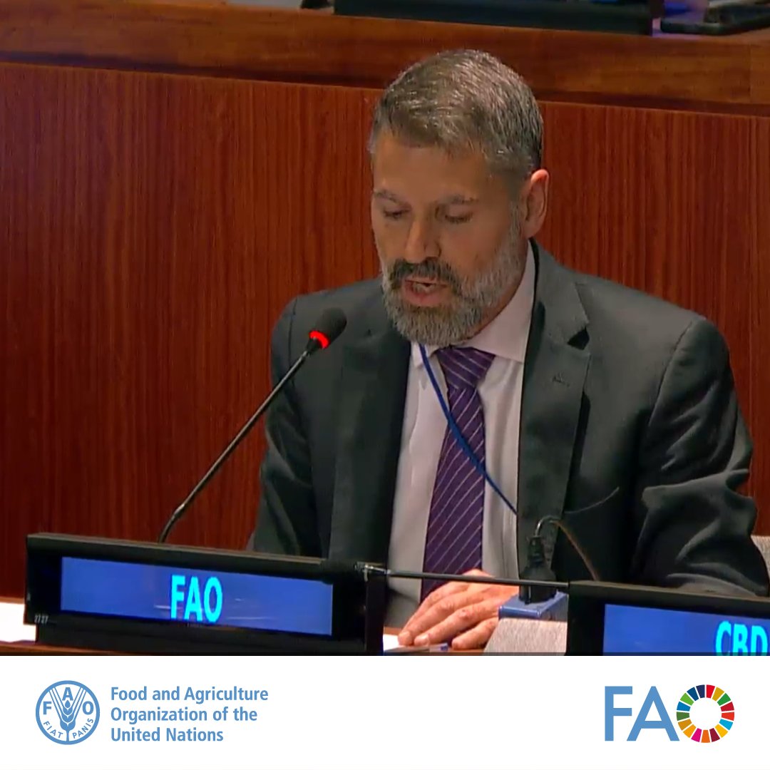 During the 3rd meeting of the 23rd Session of the #UNPFII, Yon Fernandez de Larrinoa, head of FAO Indigenous Peoples Unit, stated that 'we cannot preserve Indigenous Peoples food and knowledge systems without Indigenous Youth'. #WeAreIndigenous