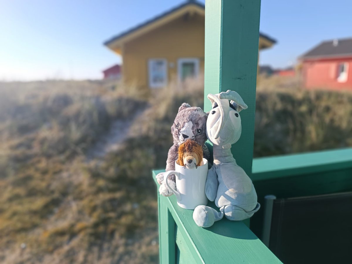 haseinblau's tweet photo. Viele liebe Grüße aus dem Urlaub! 🤗😀 https://t.co/a7hL9kbE8g