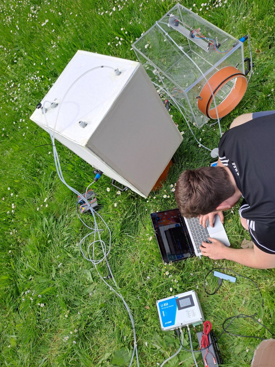 Bernd Berauer tweet media