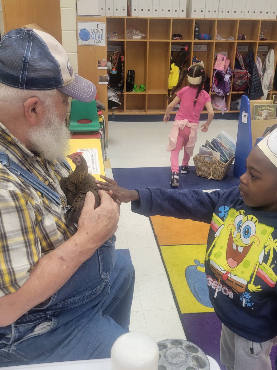 RESRahway's tweet photo. Kindergarten had some visitors today! The students met Farmer Tom and Ruby the hen. The kindergarten classes will keep some eggs in their classes and wait and watch for them to hatch over the next week. @MarianneTankard @MHennessyRES @PrincipalShoieb @SusanDube1024
 #rahwayrocks https://t.co/5ZFC6W8zPw