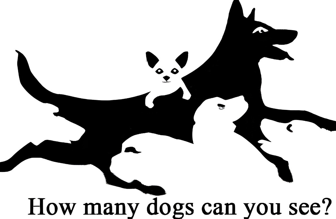 BarneySimon's tweet photo. And go! #HowManyDogs https://t.co/a2gL75cy5B