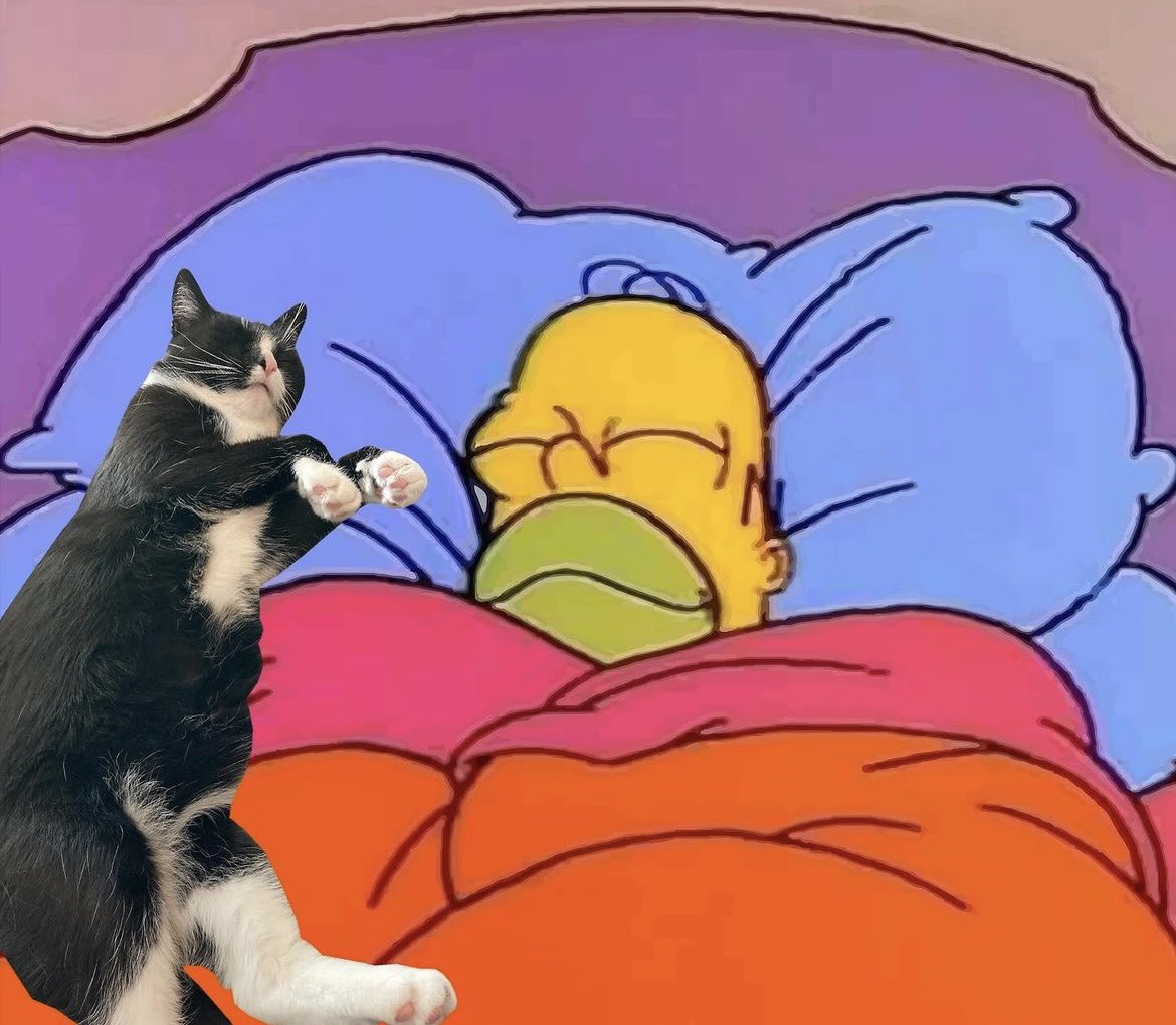 - Queres hacer algo hoy?
- No puedo, tengo planes.